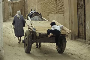 Childish Collection: Boy jumps on cart, Nefta, Tunisia