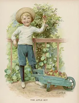 Boy Picking Apples