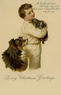 Boy with puppies
