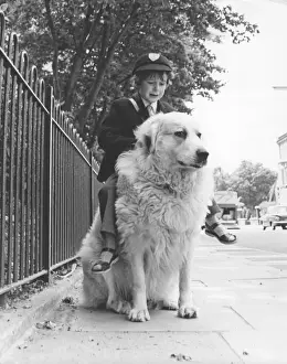 Schoolboys Prints: Boy riding dog to school