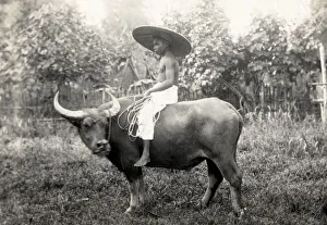 Boy riding water buffalo, Philippines