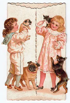 Boy in sailor suit with dogs on a Christmas card