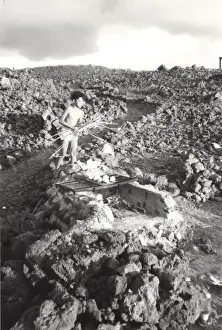 Collect Prints: Boy Scout on Ascension Island, South Atlantic