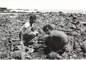 Boy Scouts on Ascension Island, South Atlantic