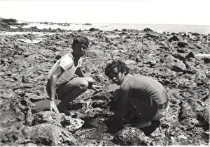 Explore Prints: Boy Scouts on Ascension Island, South Atlantic