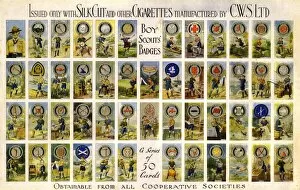 Images Dated 22nd August 2012: Boy Scouts Badges
