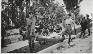 Boy scouts of Colombia, South America