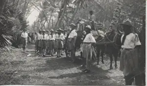 Diocesan Prints: Boy scouts ready to leave camp, Mauritius