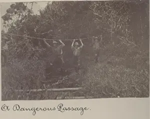 Boy scouts on a rope bridge, Mauritius