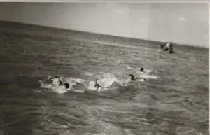 Belize Prints: Boy scouts swimming in the sea, British Honduras