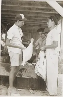 Belize Prints: Boy scouts washing clothes at camp, British Honduras