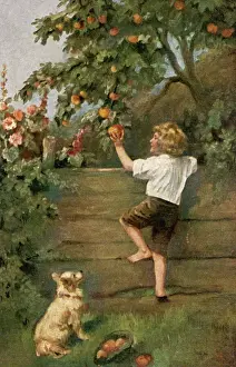 Apple Prints: Boy Scrumping Apples