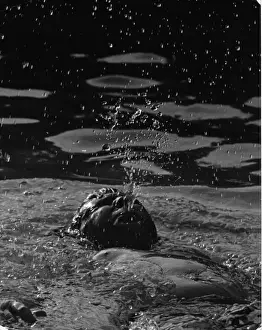 Swims Prints: Boy Spouting Water