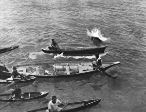 Shark Prints: Boy Taken by Shark / 1901