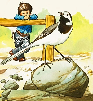 Images Dated 17th May 2007: Boy watching an unidentified bird