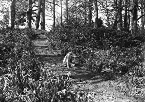 Closer Gallery: Boy / Woodland Flowers