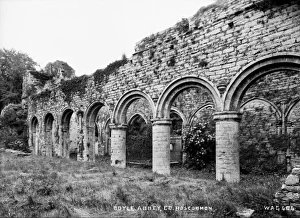 Closer Gallery: Boyle Abbey, Co Roscommon