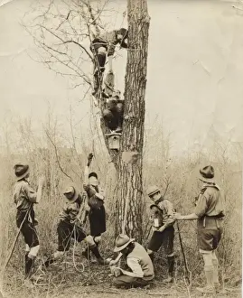 Nest Prints: Boys of the 10th Calgary Scout Troop, Canada