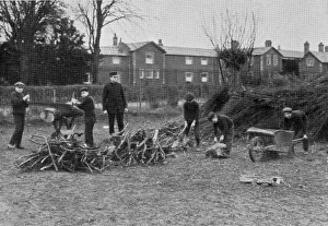 Boys chop wood, NIPRCC East Harling, Norfolk Boys chop wood, NIPRCC East Harling, Norfolk