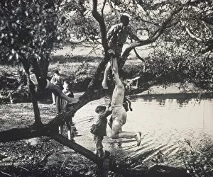 Images Dated 3rd February 2015: Boys climbing a tree and paddling