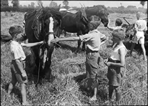 Boys Club members with horses 1934