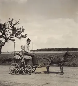 Two boys on dog-drawn cart