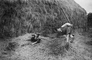 Images Dated 3rd February 2015: Two boys playing near a haystack