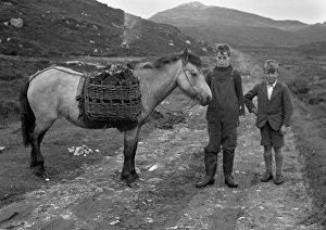 Two boys with pony on country lane, Scotland