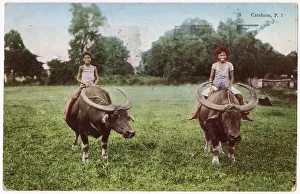 Philippine Prints: Boys riding carabaos, a type of water buffalo, in the Philippines Date: 1930s
