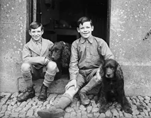 Boys and Spaniels