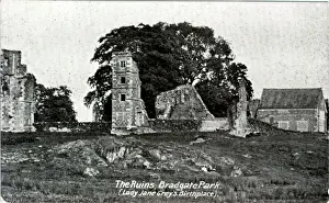 Leicester Prints: Bradgate Park, Newtown Linford, Leicestershire ?