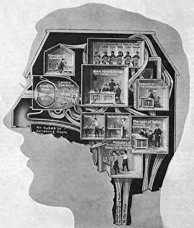 Operators Prints: Brain / Business Centre