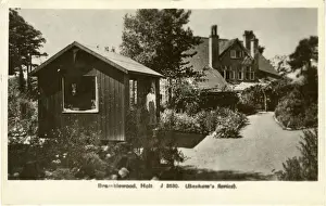 Bramblewood