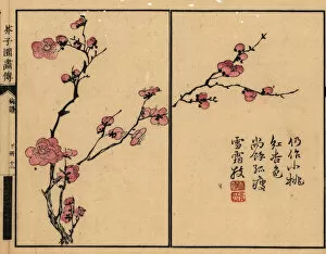 Plum Collection: Branch of pink plum blossom with calligraphy and seal
