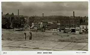 Wentworth Postcard Collection Prints: Branch Road