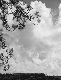 Images Dated 18th May 2011: Branches and Clouds