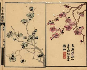 Plum Collection: Branches of plum blossom with calligraphy and seal