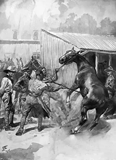 Startled Prints: Branding horses at the Army Remount Depot, WW1