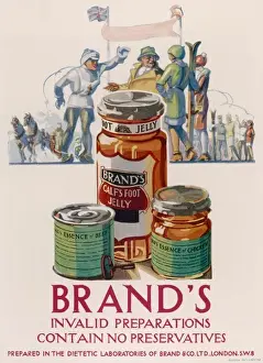 Broth Prints: Brands Invalid Preparations advertisement