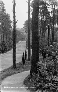 Branksome Beach Road
