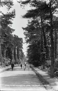 Chine Prints: Branksome Chine Drive