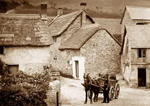 Branscombe, Devon
