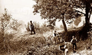 Crafts Collection: Branscombe haymaking probably taken in 1888