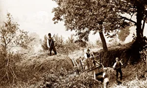 Idyll Prints: Branscombe haymaking probably taken in 1888