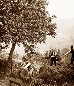 Branscombe probably taken in 1888