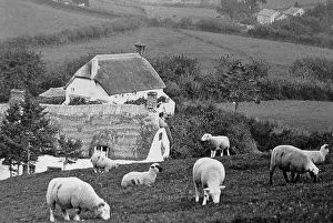Branscombe probably taken in 1888