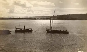 Bahia Prints: Brazil - Bahia