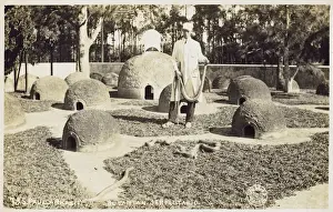 Brazil Prints: Brazil - Sao Paulo - Serpentarium of the Instituto Butantan