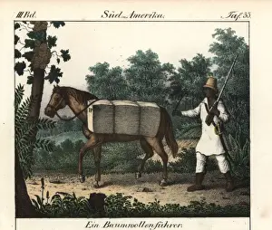 Bales Prints: Brazilian farmer riding a horse loaded with