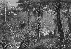 Images Dated 2011 June: 15 Jun 2011 Collection